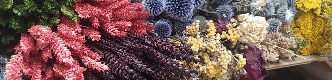 Agrarisch medewerker – Werken met droogbloemen