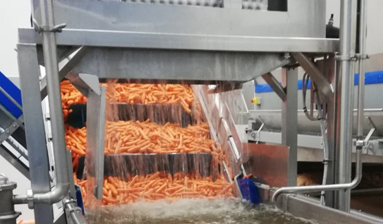 Productiemedewerker Productielijn (wortelverwerking)