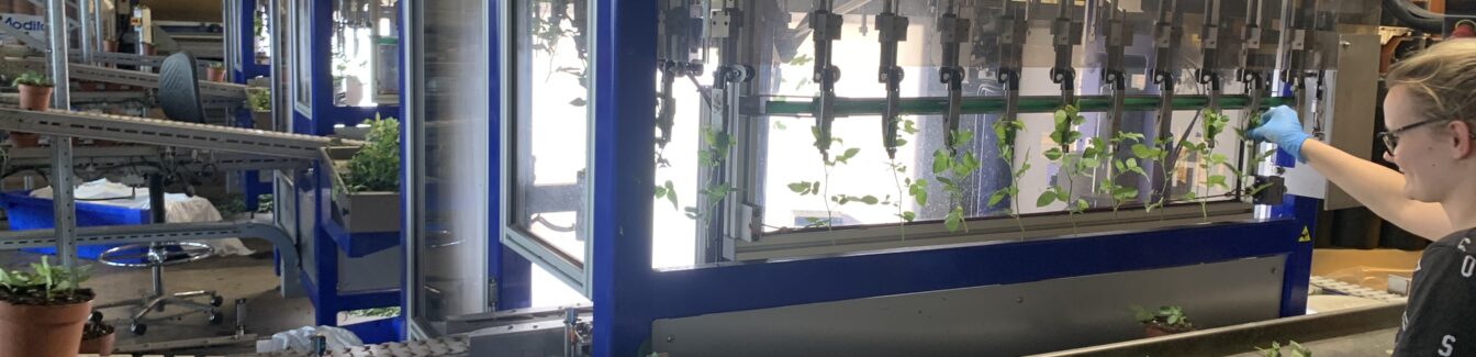 Machine Operation (Greenhouse)