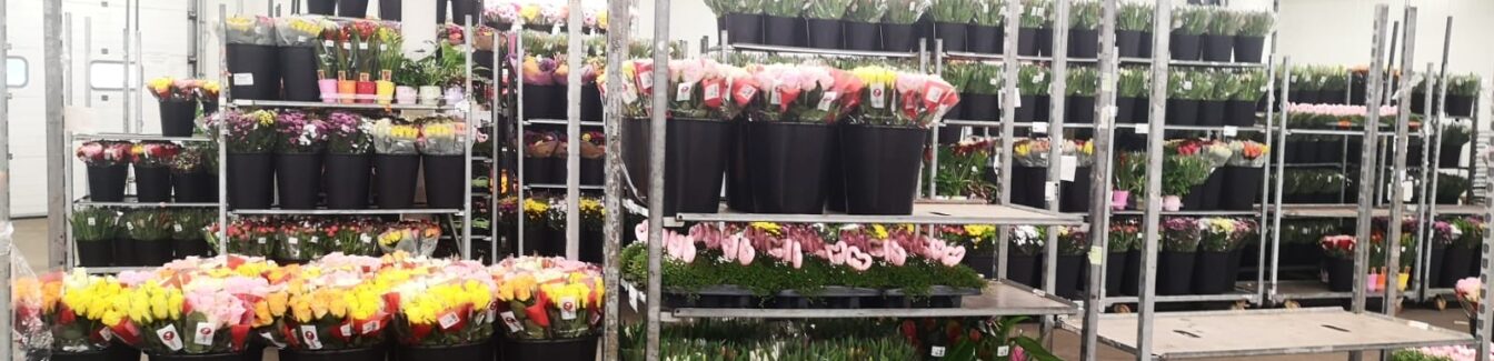 Order Picker & Order Checker (Flower Auction)